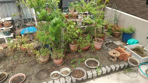 お庭の植木鉢やレンガなどの不用品回収の作業事例